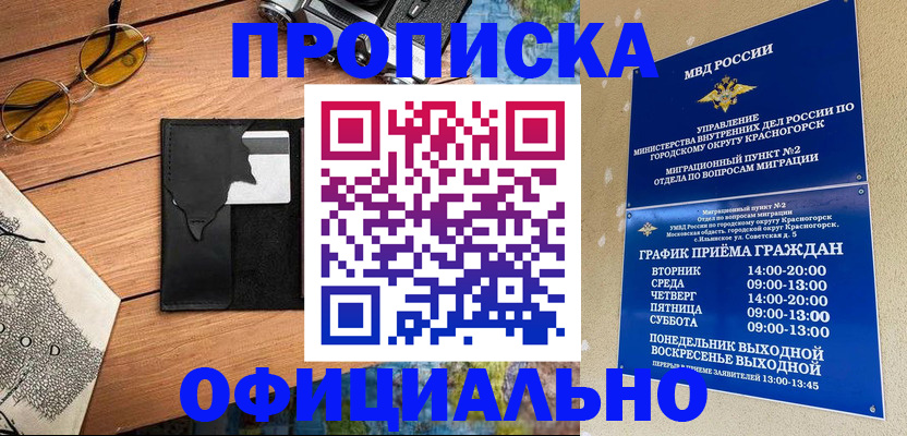 прописка поиск в Ногинске